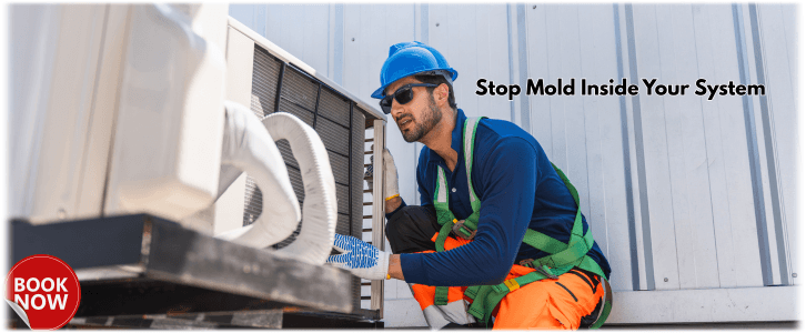 HVAC Mold Removal Richardson
